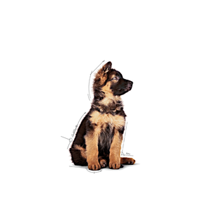 Royal Canin Maxi Puppy Gravy våtfoder för hundvalp 10 x 140 g