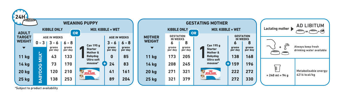Royal Canin Medium Starter