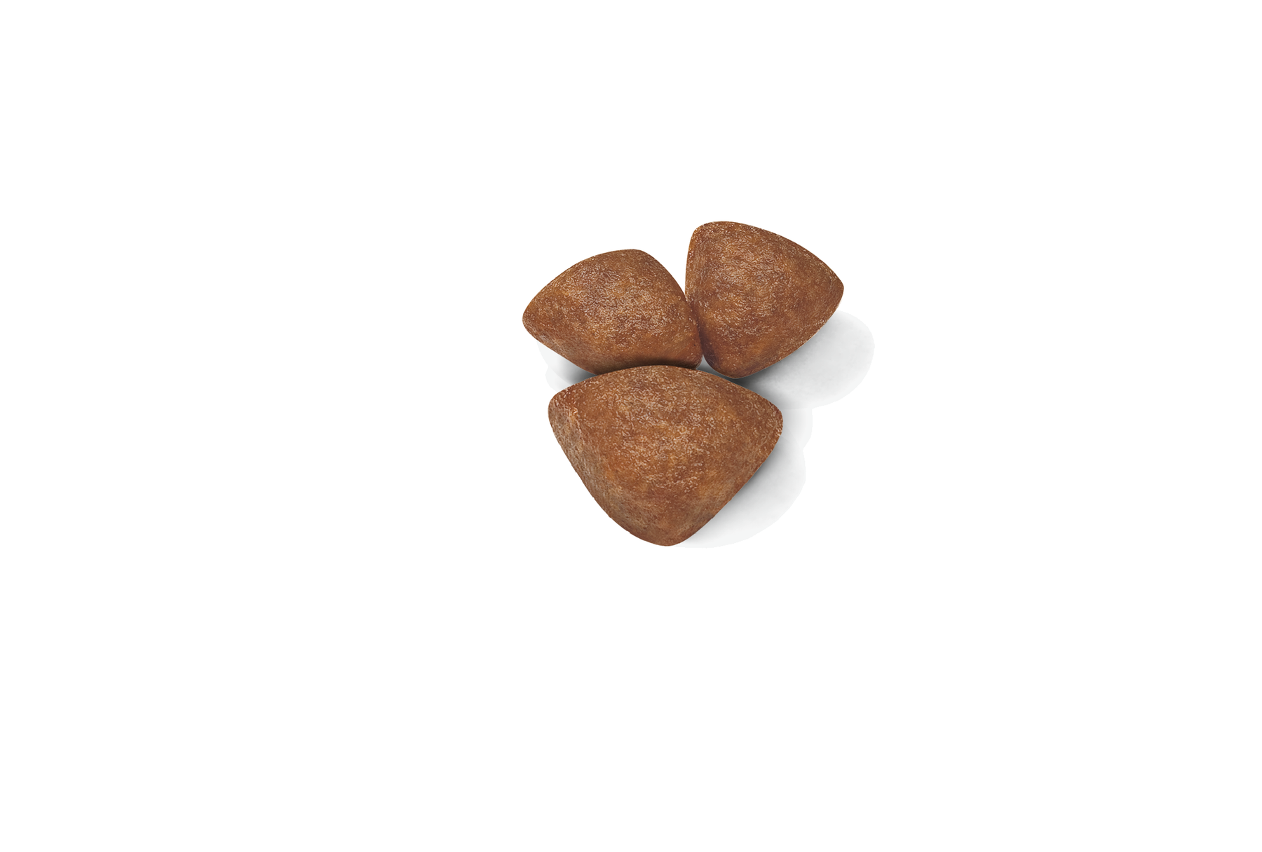 Royal Canin Mini Starter