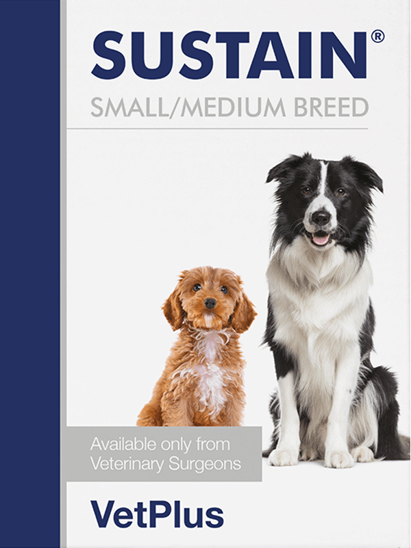 Vetplus Sustain Small/Medium Breed för hundar 30 x 2,7 g
