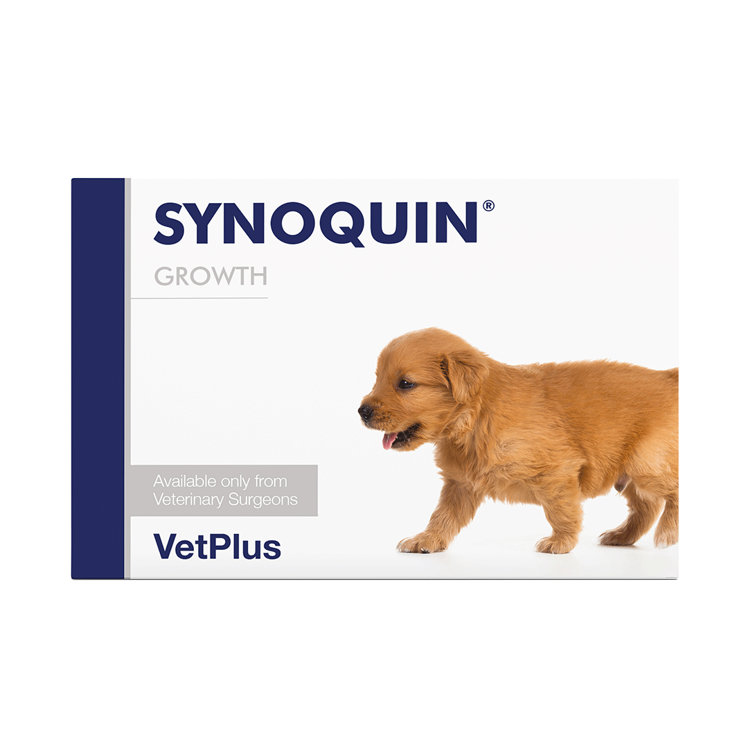 Vetplus Synoquin Growth for dogs 60 tablets