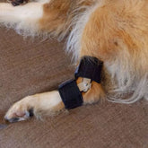 Taituki Hock Support Rear Leg L