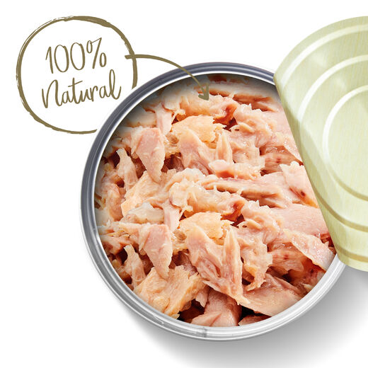 Applaws Adult Tuna Fillet in gravy 24 x 70 g