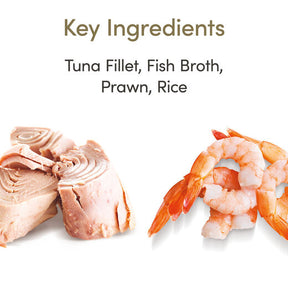 Applaws Cat Tonfiskfilé & Räka Burk 24 x 70 g för katter