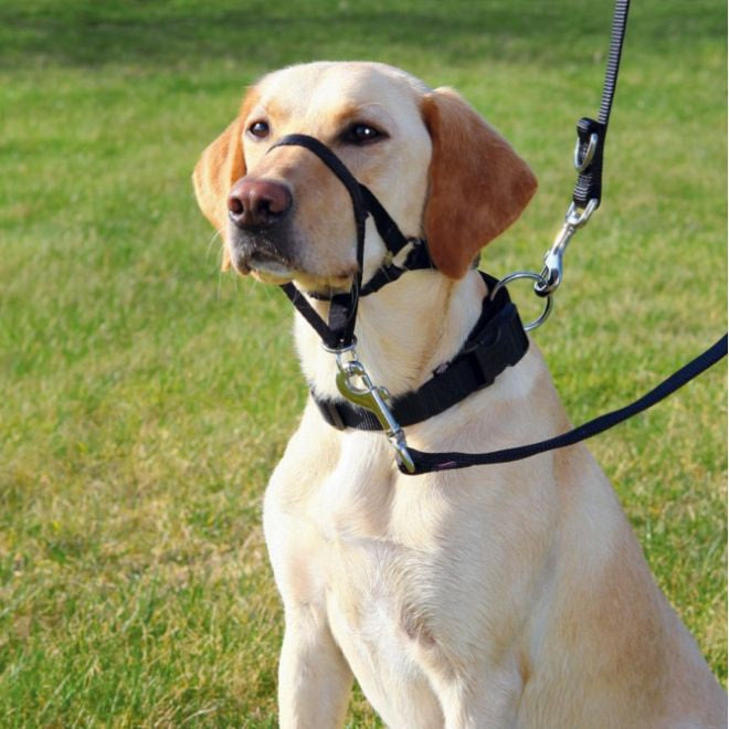 Trixie Dog Muzzle XL