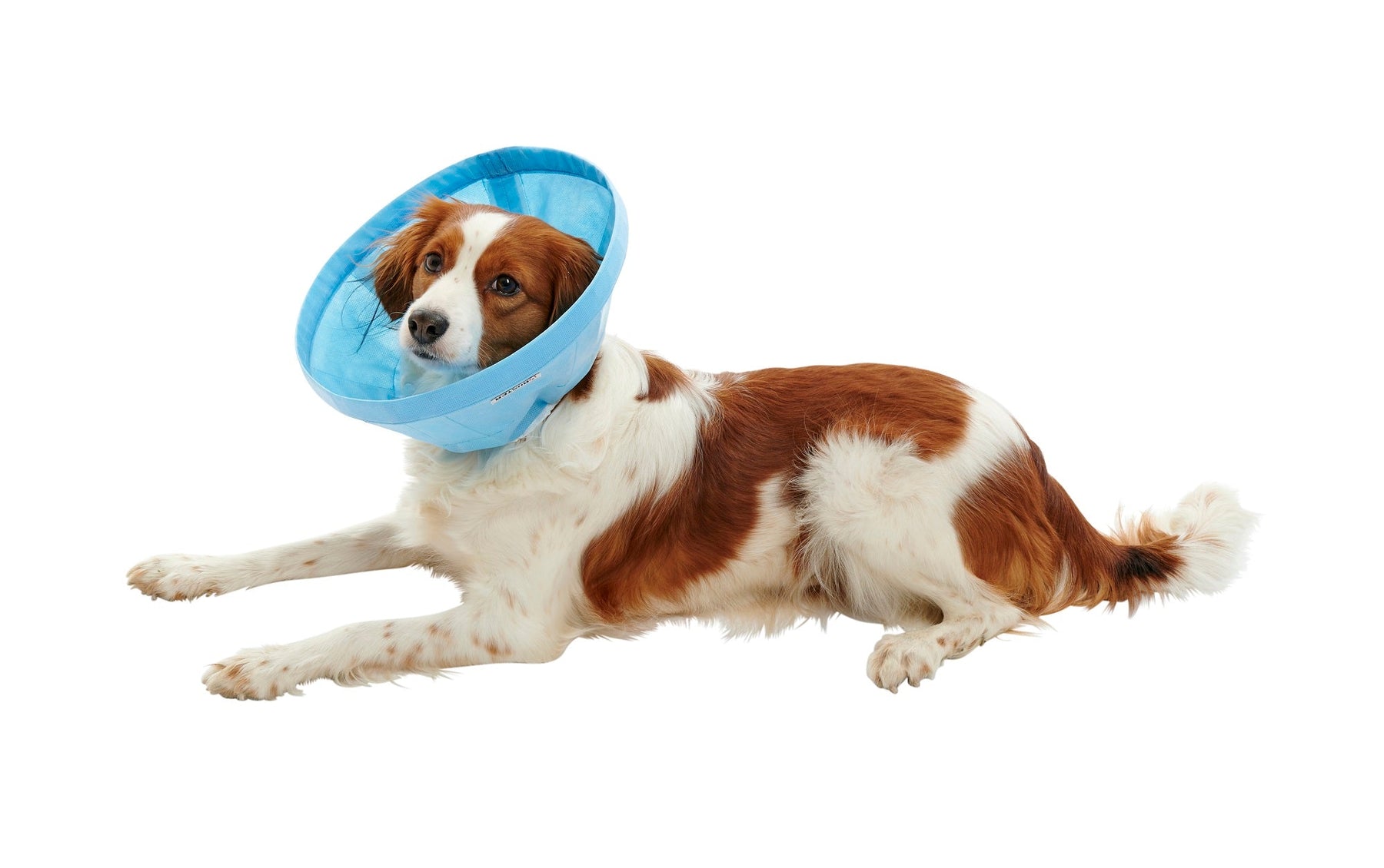 Buster Soft Flex Collar 7.5 cm