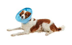 Buster Soft Flex Collar 7.5 cm