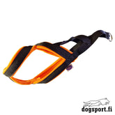 D&C Pulling Harness Size 1 Orange