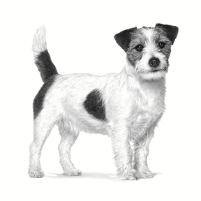 Royal Canin Veterinary Diets Health Management Mature Consult Small Dog för hundar 3,5 kg