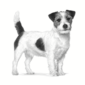 Royal Canin Veterinary Diets Health Management Calm torrfoder för hund 4 kg