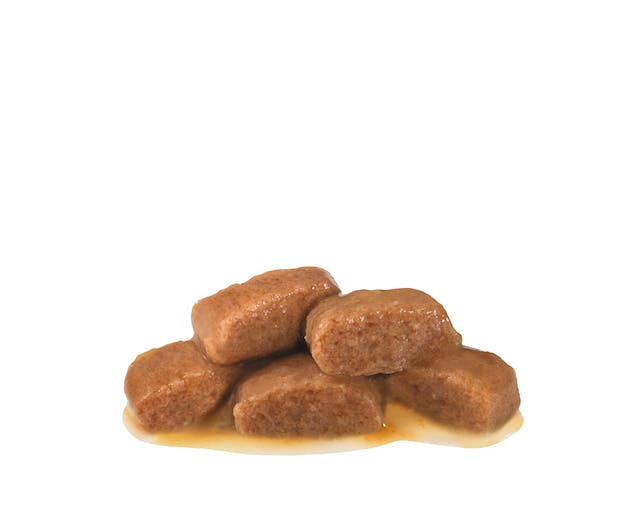 Royal Canin Veterinary Diets Gastrointestinal Fibre Response Morsels in Gravy Pouch våtfoder för katt 48 x 85 g FLERPACK