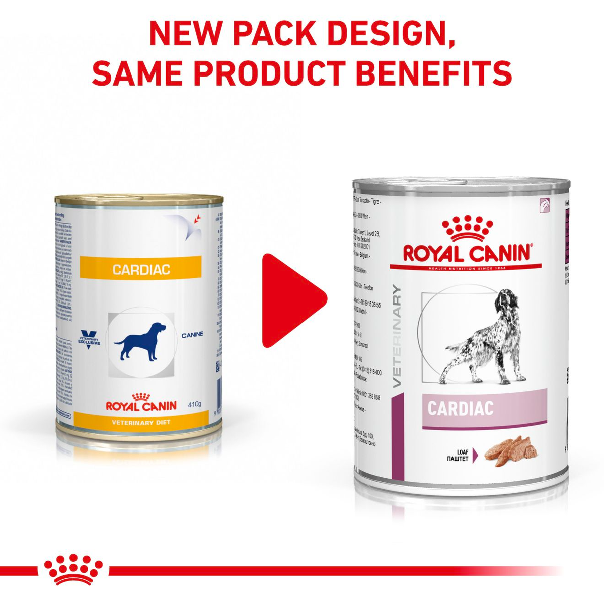 Royal Canin Veterinary Diets Vital Cardiac Loaf märgtoit koertele 200 g