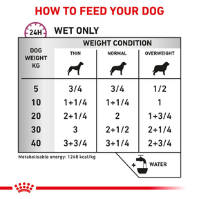 Royal Canin Veterinary Diets Vital Cardiac Loaf dog wet food 200 g