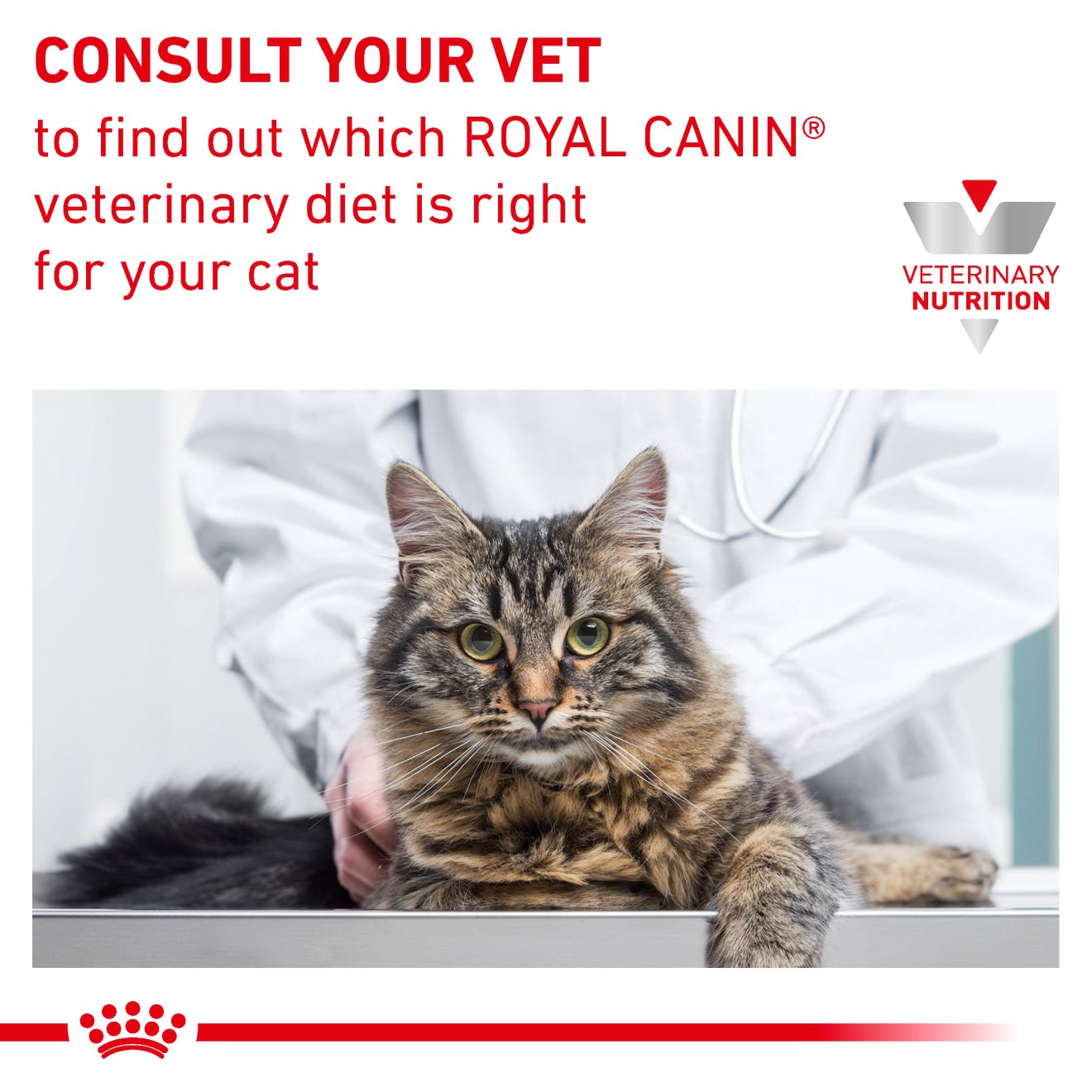 Royal Canin Veterinary Diets Gastrointestinal Fibre Response Morsels in Gravy Pouch våtfoder för katt 48 x 85 g FLERPACK