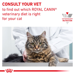 Royal Canin Veterinary Diets Gastrointestinal Fibre Response Morsels in Gravy Pouch våtfoder för katt 48 x 85 g FLERPACK