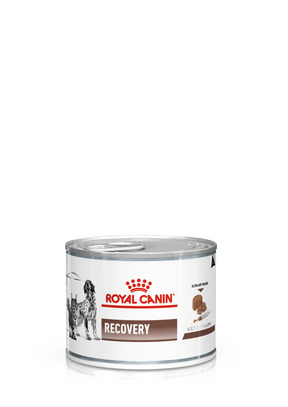 Royal Canin Veterinary Diets Gastrointestinal Recovery Ultra Soft Mousse 12 x 195 g för katter och hundar