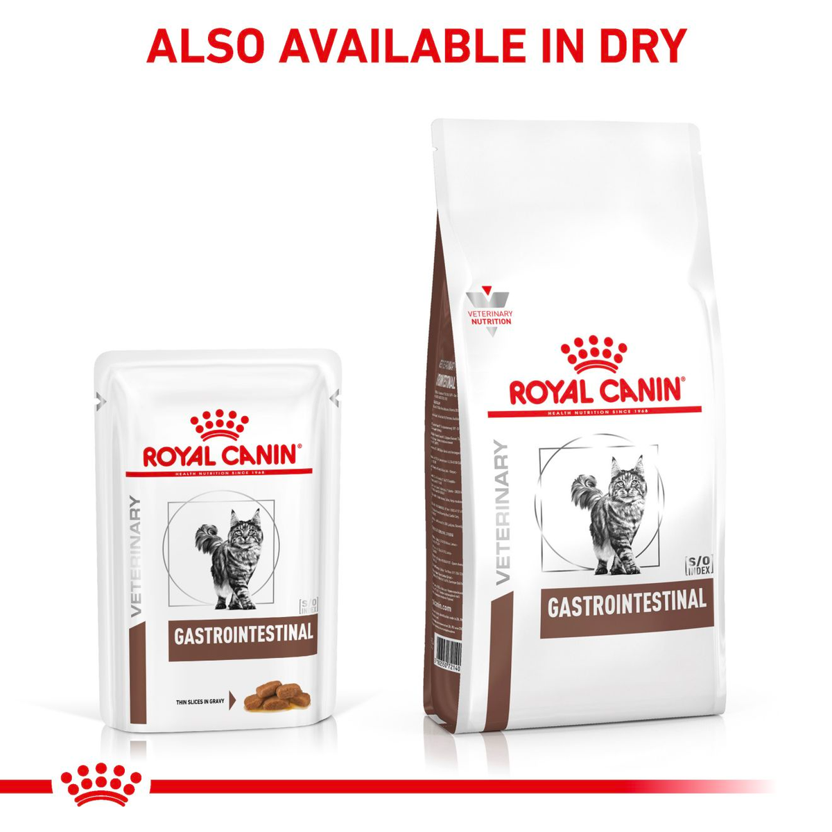 Royal Canin Veterinary Diets Gastrointestinal Thin Slices In Gravy wet cat food 12 x 85g