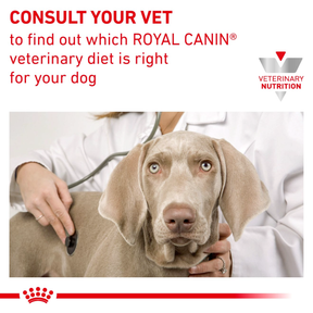 Royal Canin Veterinary Diets Gastrointestinal Low Fat torrfoder för hund 12 kg