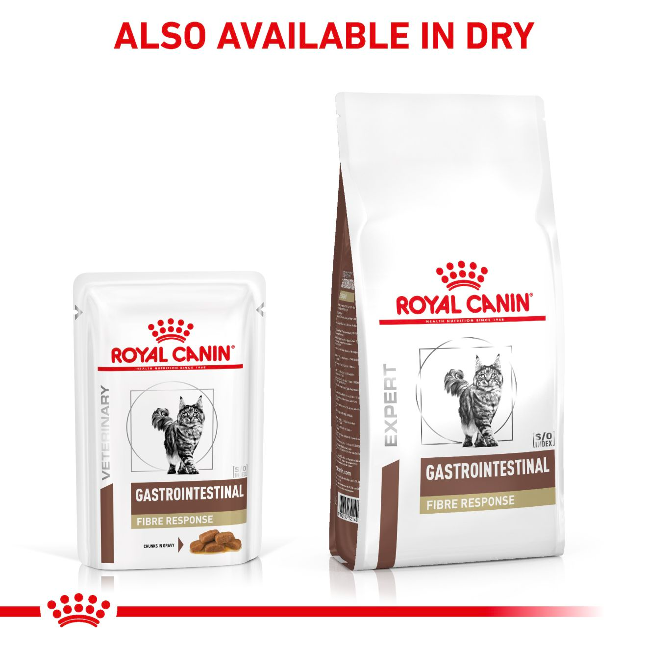 Royal Canin Veterinary Diets Gastrointestinal Fibre Response Morsels in Gravy Pouch våtfoder för katt 48 x 85 g FLERPACK