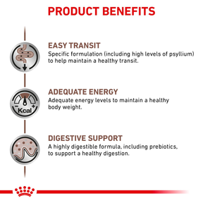 Royal Canin Veterinary Diets Gastrointestinal Fibre Response torrfoder för katt