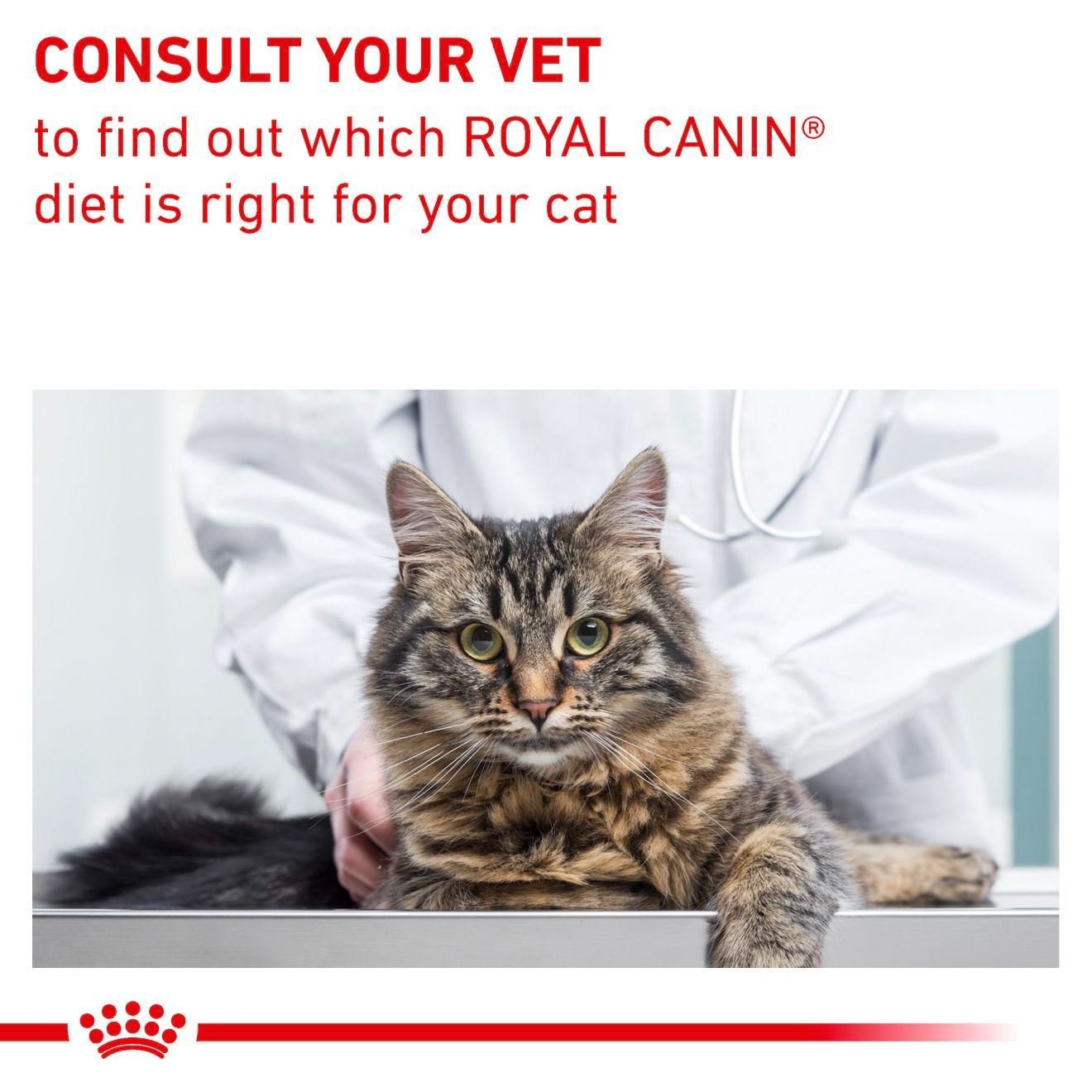 Royal Canin Veterinary Diets Gastrointestinal Fibre Response torrfoder för katt