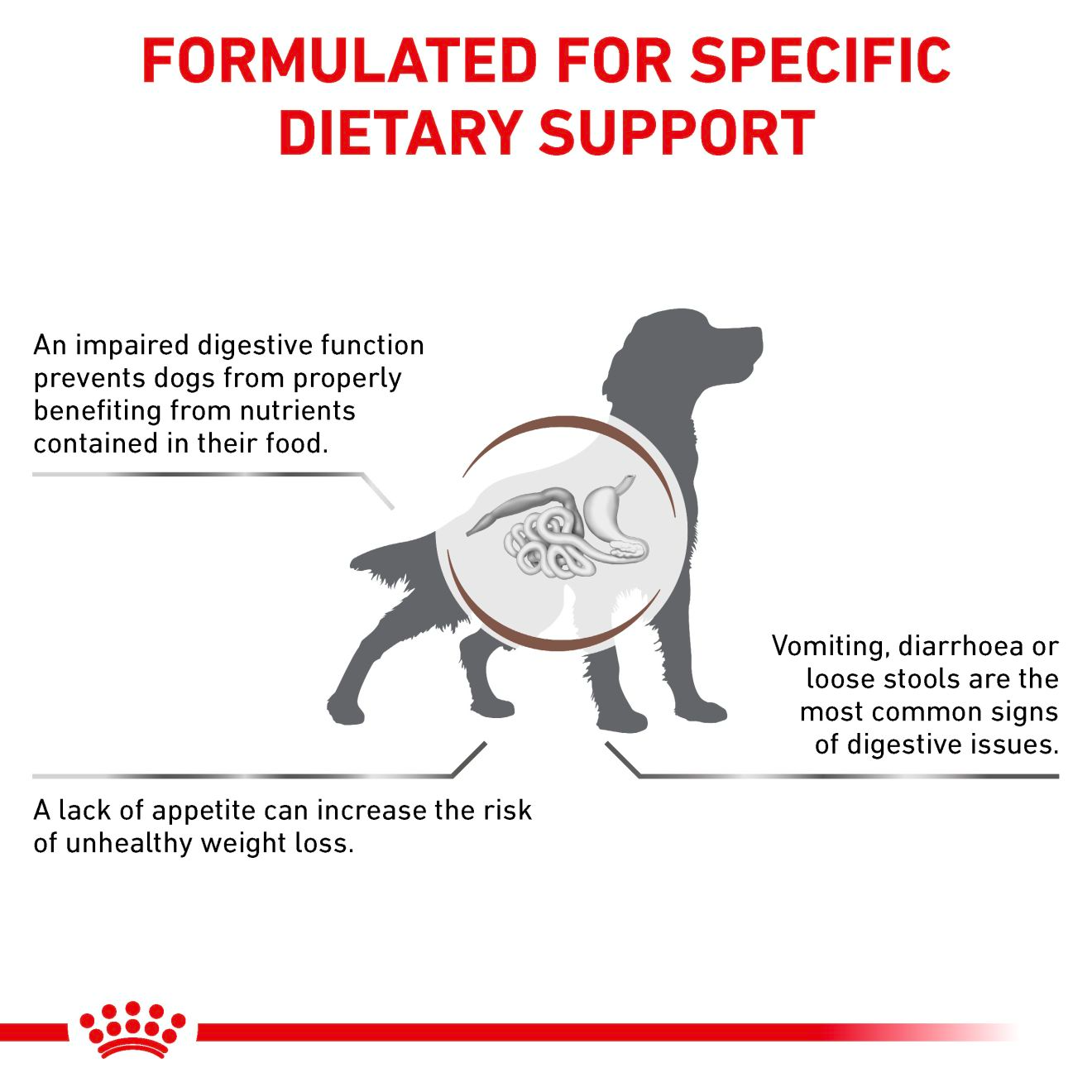 Royal Canin Veterinary Diets Gastrointestinal torrfoder för hund 2 x 15 kg SUPERPRIS