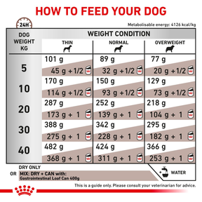 Royal Canin Veterinary Diets Gastrointestinal torrfoder för hund 2 x 15 kg SUPERPRIS