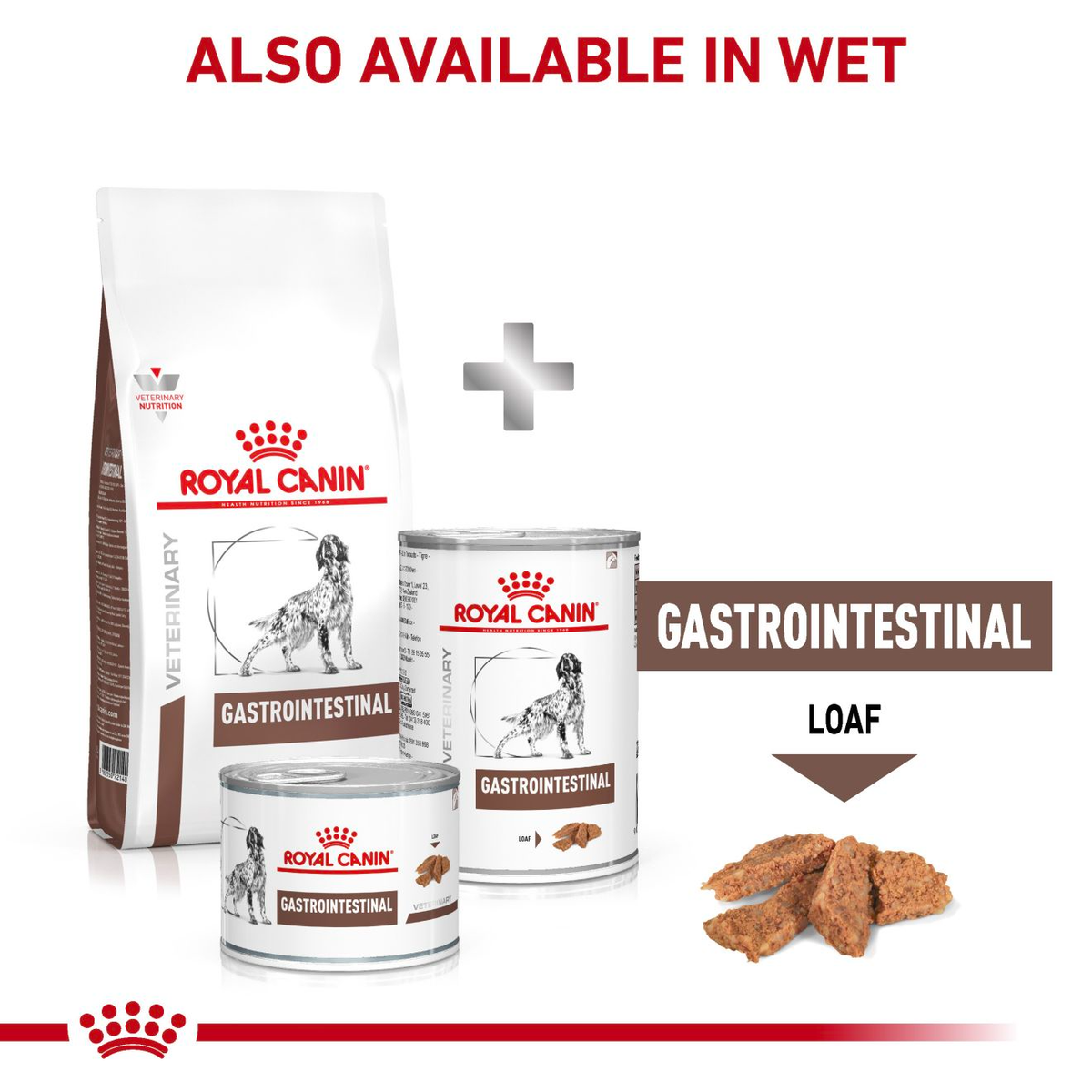 Royal Canin Veterinary Diets Gastrointestinal dry food for dogs 2 x 15 kg SUPER PRICE