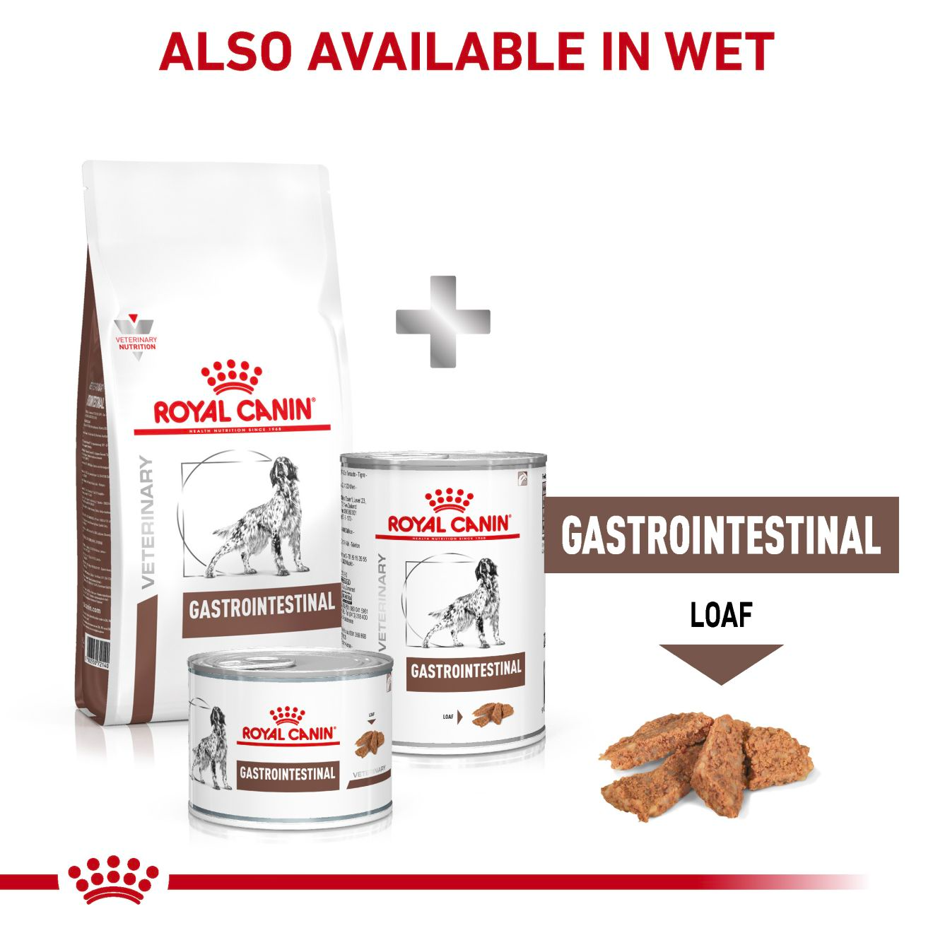 Royal Canin Veterinary Diets Gastrointestinal torrfoder för hund 2 x 15 kg SUPERPRIS