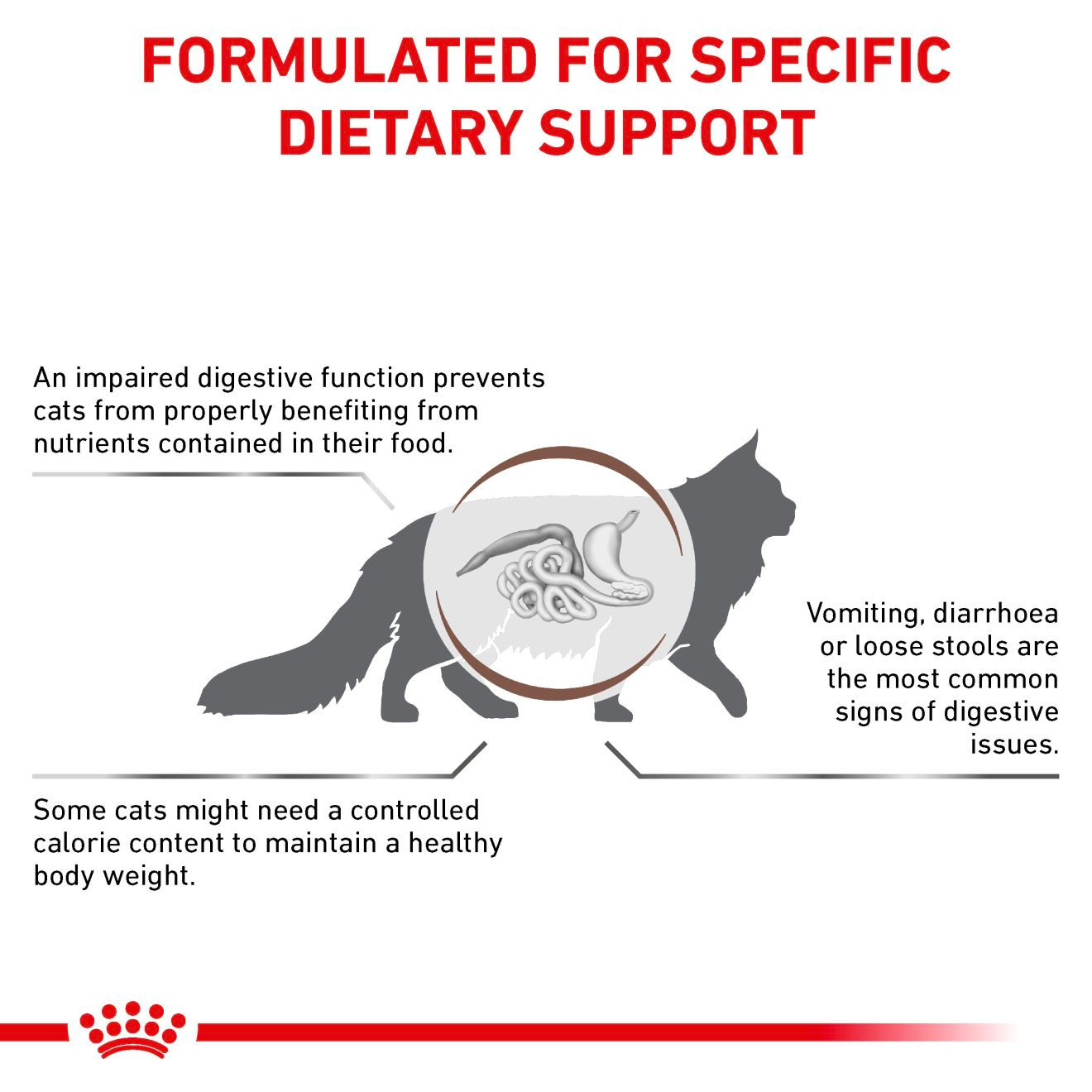 Royal Canin Veterinary Diets Gastrointestinal Moderate Calorie torrfoder 4 kg för katter
