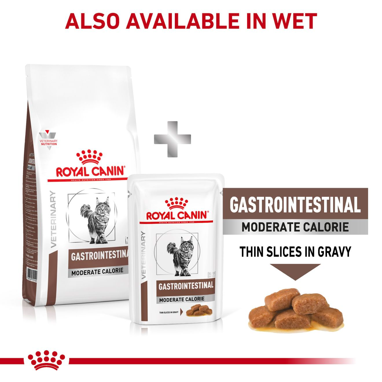 Royal Canin Veterinary Diets Gastrointestinal Moderate Calorie torrfoder 4 kg för katter