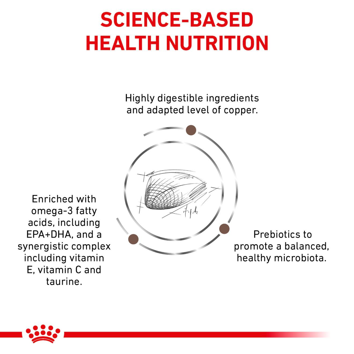 Royal Canin Veterinary Diets Gastrointestinal Hepatic dry food for dogs
