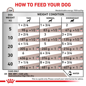 Royal Canin Veterinary Diets Gastrointestinal High Fibre Loaf 200 g för hundar