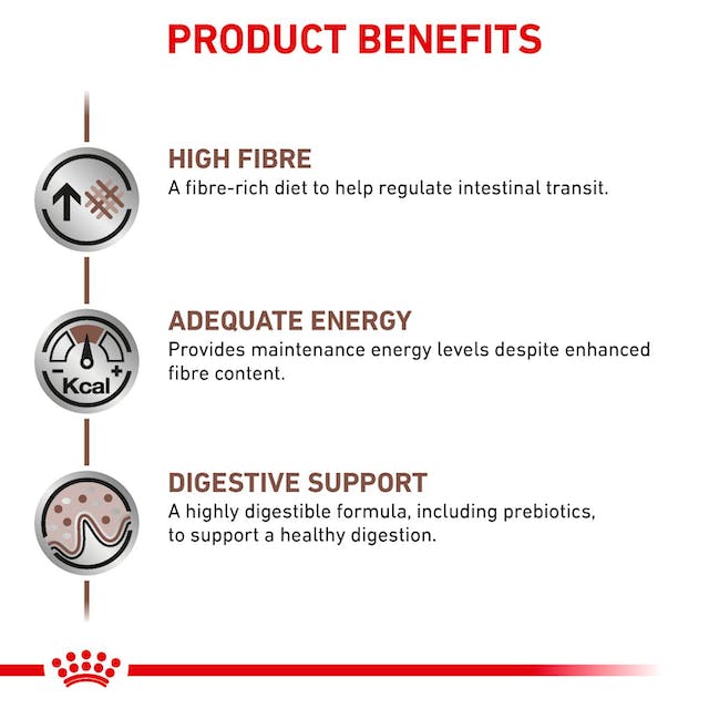 Royal Canin Veterinary Diets Gastrointestinal High Fibre Loaf hund våtfoder 410 g för hundar