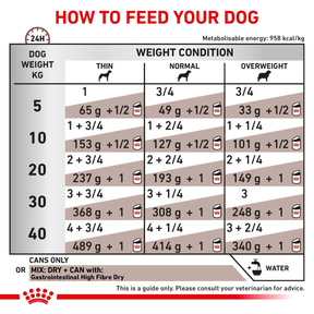 Royal Canin Veterinary Diets Gastrointestinal High Fibre Loaf 200 g för hundar