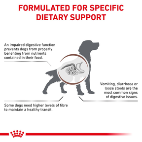 Royal Canin Veterinary Diets Gastrointestinal High Fibre torrfoder för hund 2 kg