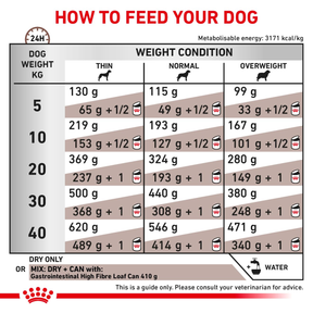 Royal Canin Veterinary Diets Gastrointestinal High Fibre torrfoder för hund 2 kg
