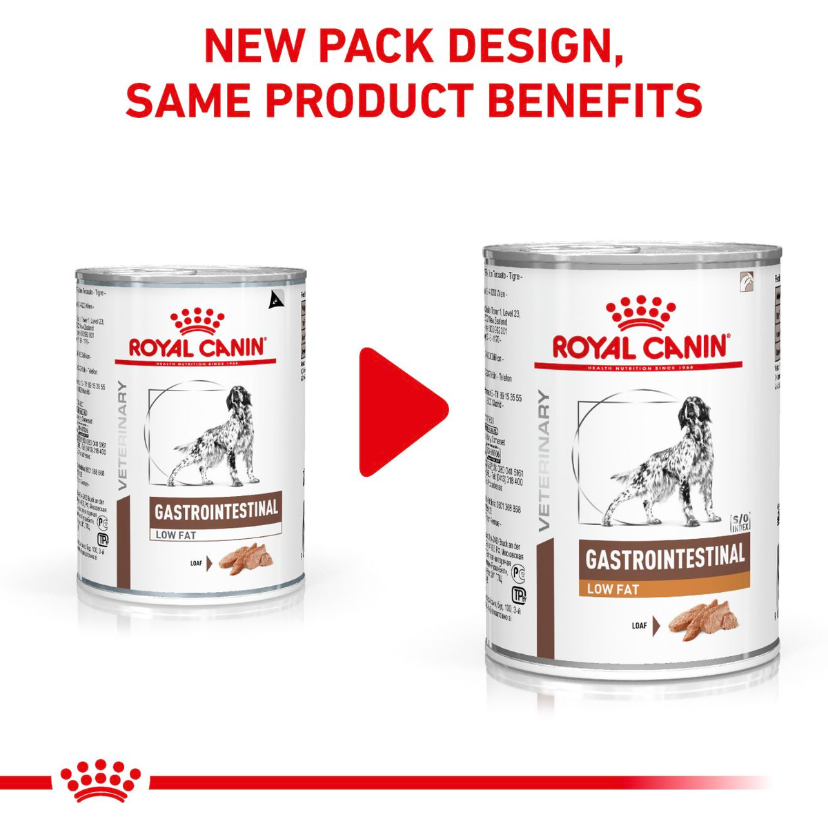 Royal Canin Veterinary Diets Gastrointestinal Low Fat Loaf Can våtfoder för hund 200 g