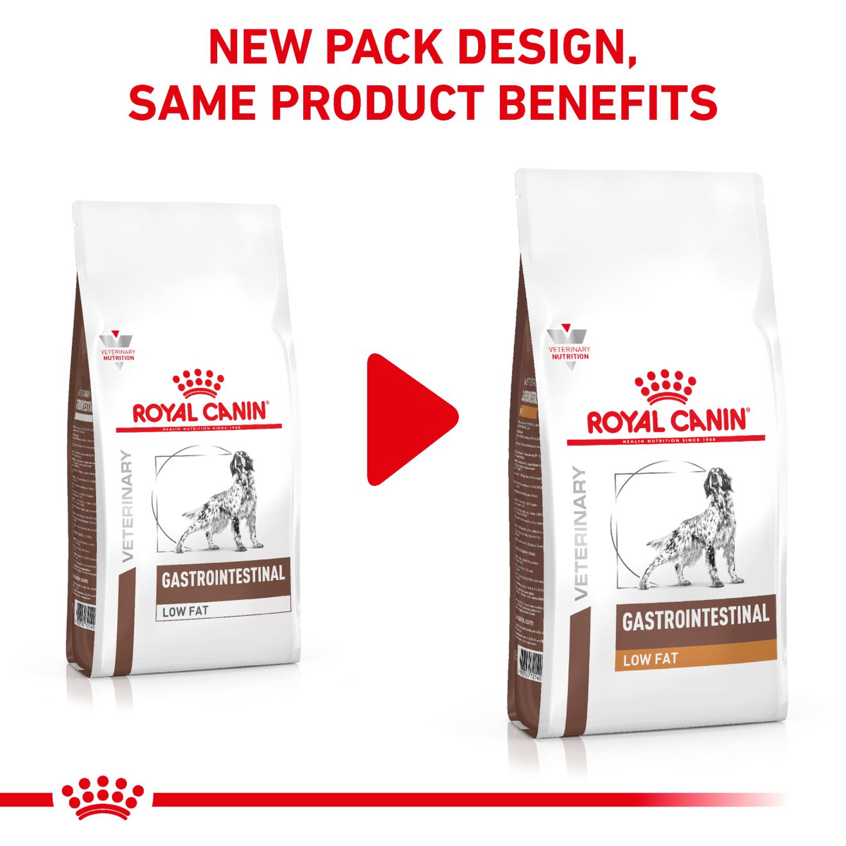 Royal Canin Veterinary Diets Gastrointestinal Low Fat torrfoder för hund