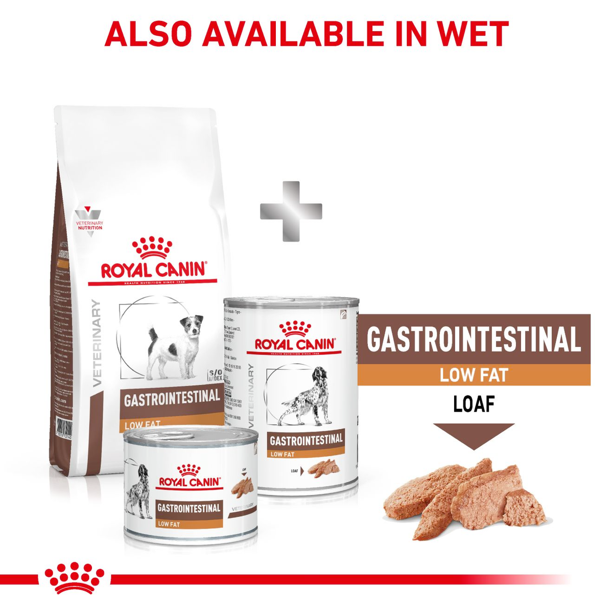 Royal Canin Veterinary Diets Gastrointestinal Low Fat Small Dog dry dog food