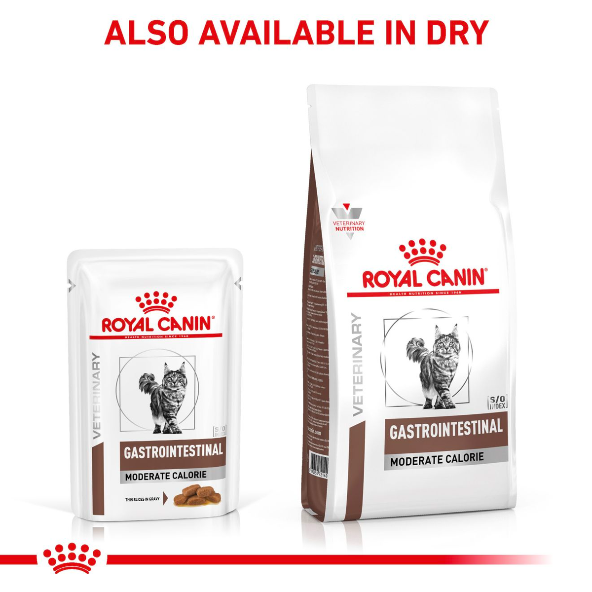 Royal Canin Veterinary Diets Gastrointestinal Moderate Calorie Slices In Gravy wet cat food 12 x 85g