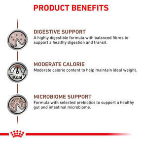 Royal Canin Veterinary Diets Gastrointestinal Moderate Calorie torrfoder 4 kg för katter