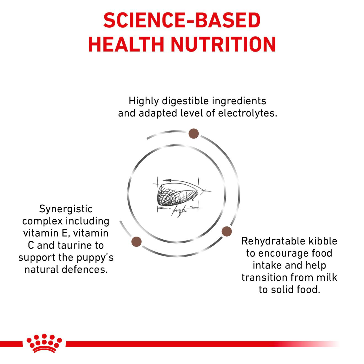 Royal Canin Veterinary Diets Gastrointestinal Puppy dry food for dogs