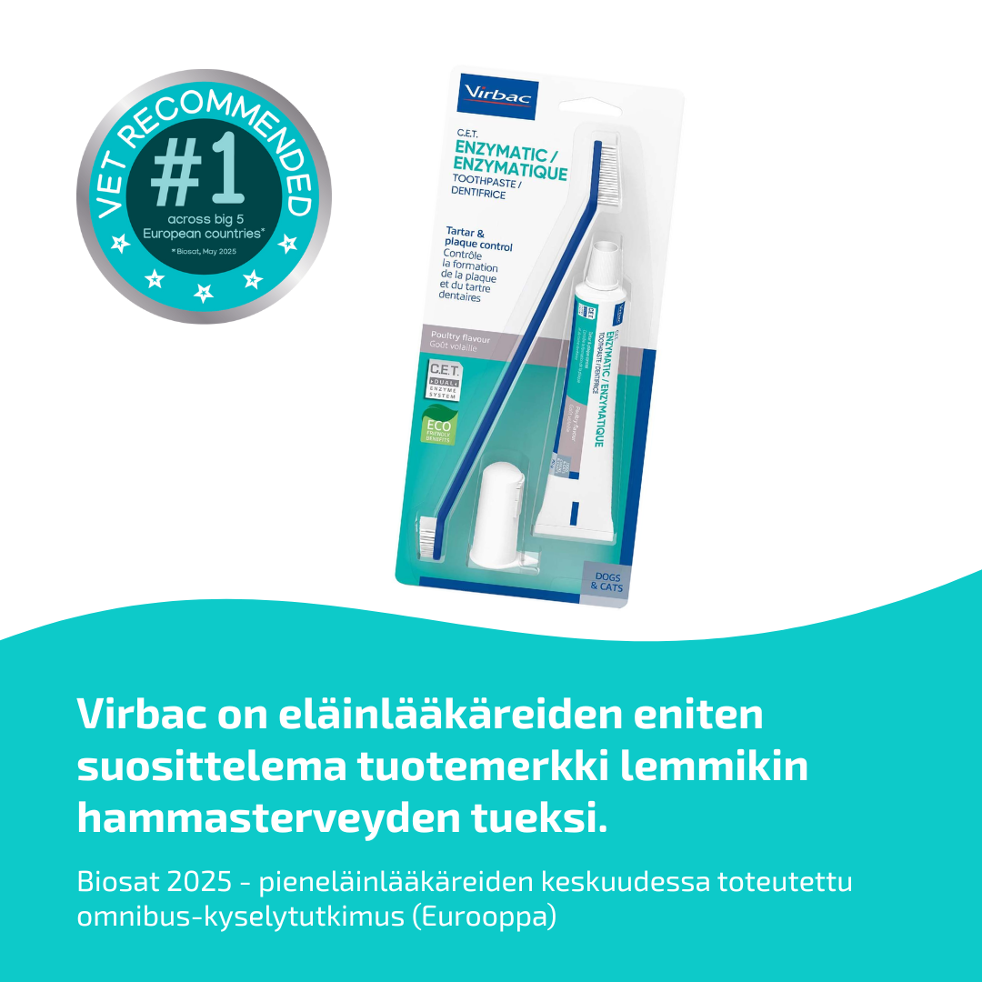 Virbac C.E.T. tandborste, fingertandborste och tandpasta för hund och katt 70 g