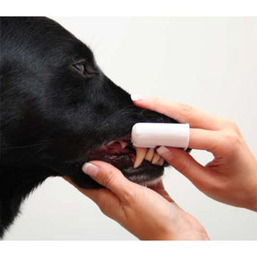 Virbac fingertandborste för hund och katt