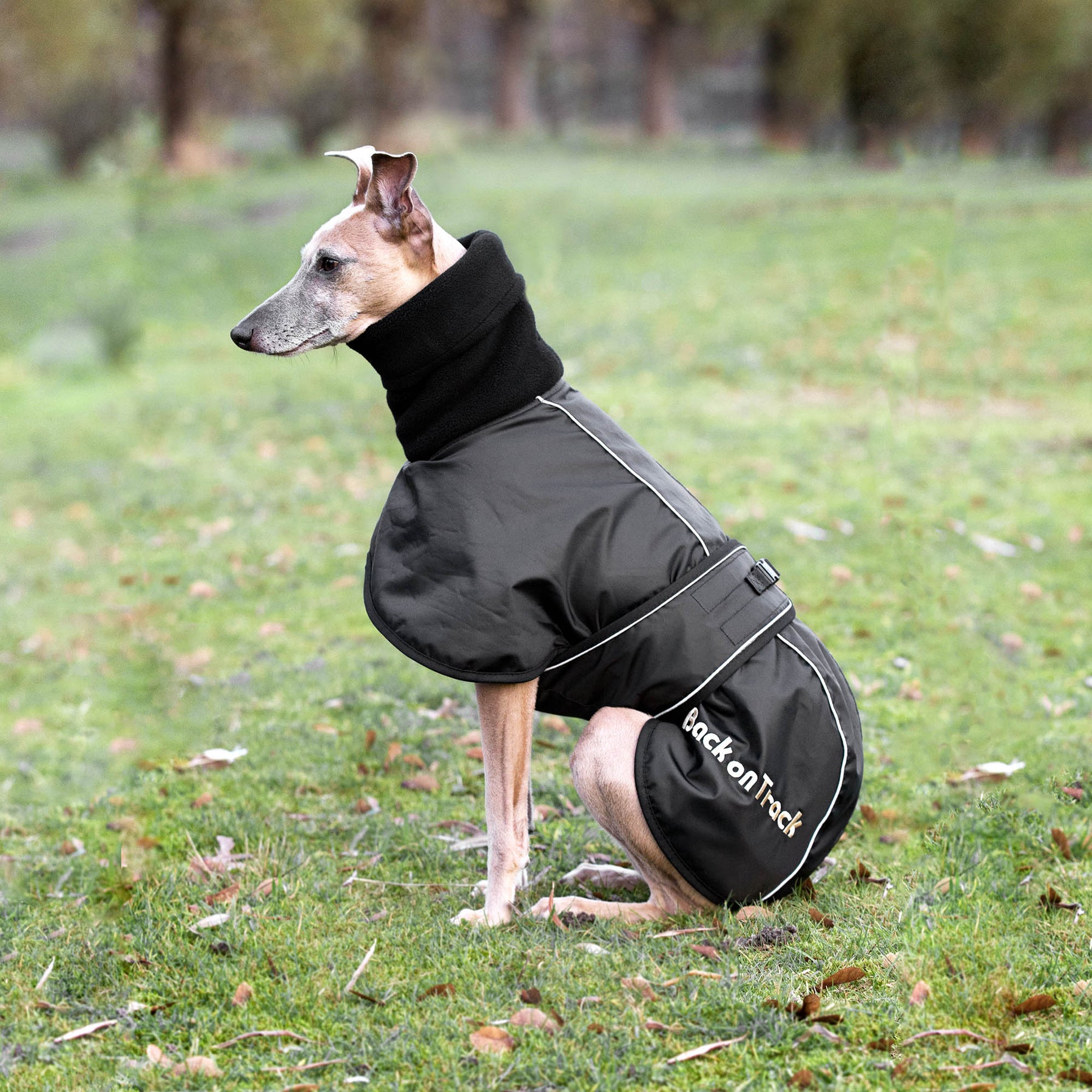 Back on Track Whippet-täcke