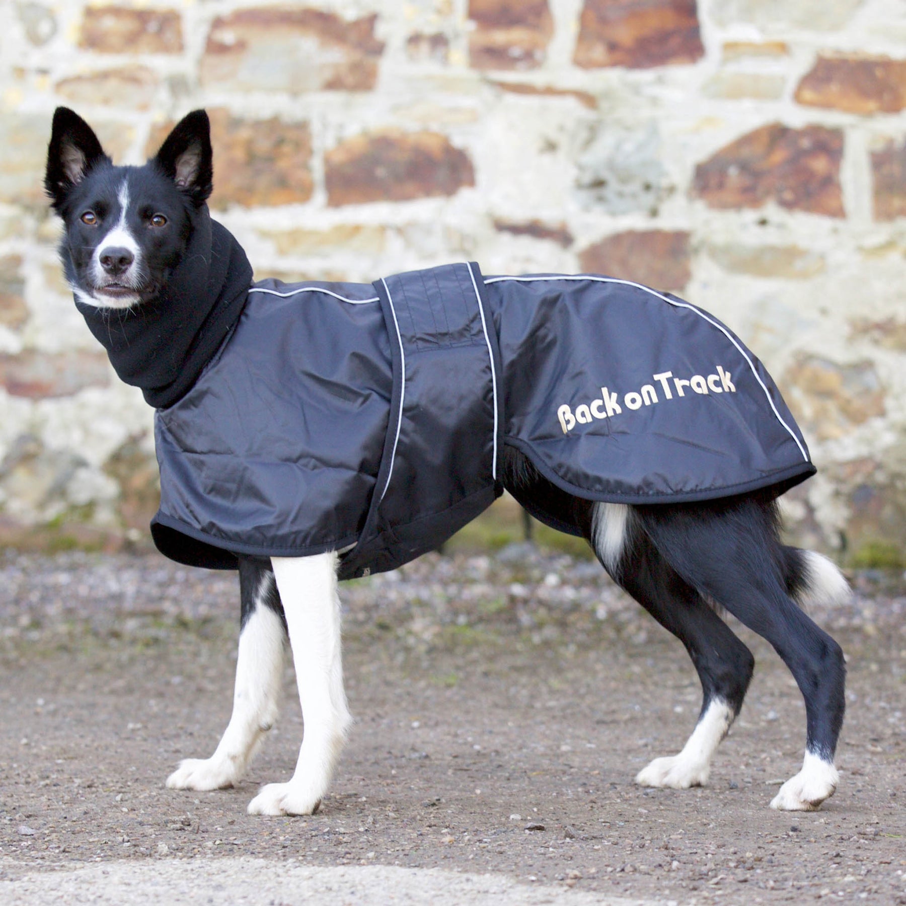 Back on Track Whippet-täcke