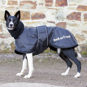 Back on Track Whippet-täcke