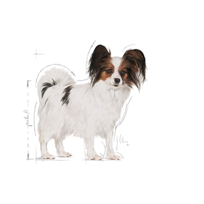 Royal Canin X-Small Adult 3 kg för hundar
