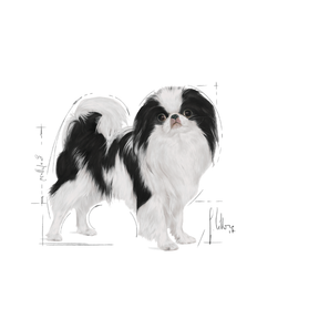 Royal Canin Sterilised X-Small för hundar 1,5 kg